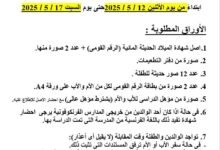 نتيجة تنسيق رياض الأطفال الإسكندرية